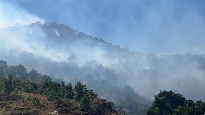 Adıyaman'daki yangınlarda 14 hektar alan zarar gördü 17